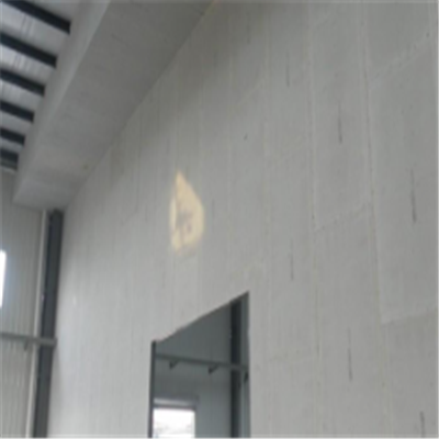 柳南新型建筑材料掺多种工业废渣的ALC|ACC|FPS模块板材轻质隔墙板